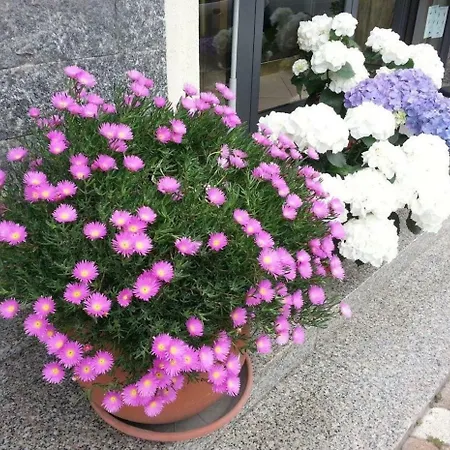 Hotel La Milanese-3