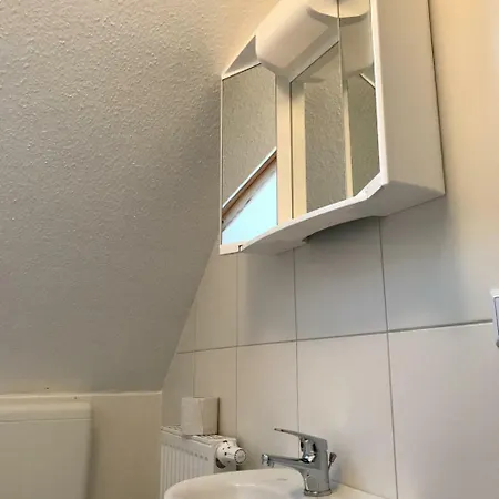 Kleine Möwe-3