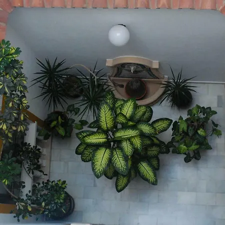 Hostal Costa De La Luz-3