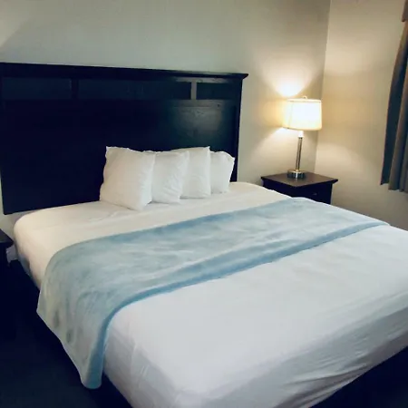 The Avenue Hotel-3