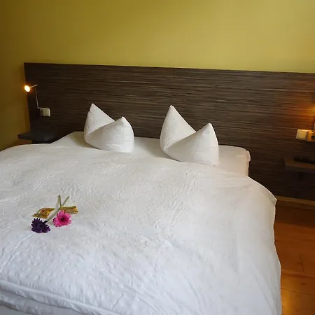 Stadthotel Regensburg-3