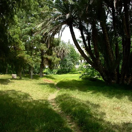Sidi Harazem-3