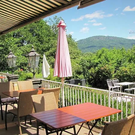 Hotel Tannenhof-3