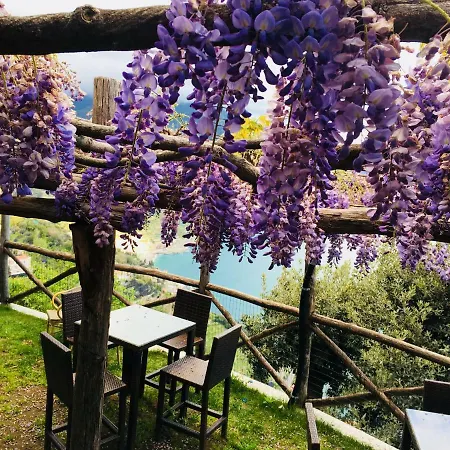Giuliana'S View-3