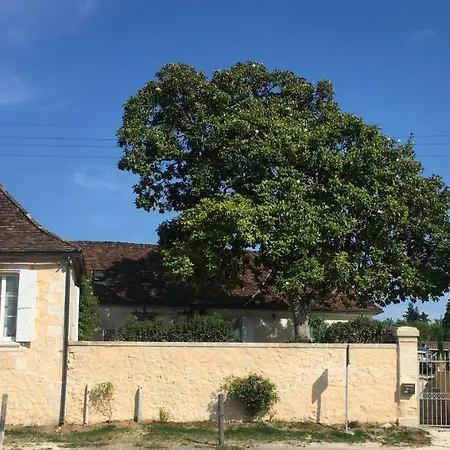 Chambres d'Hôtes L'Ostal de Pombonne-2