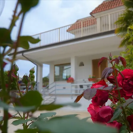 Guesthouse Holiday Formia Beach-2