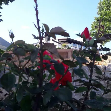 Villa Treglia b&b-3