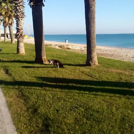 Casa Dilva-2