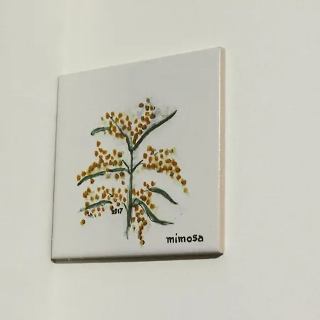 Huga Home-3