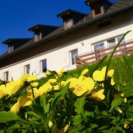 Apartmaji Pri Kokolu-2
