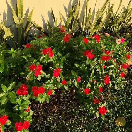 Miami Private Guest House-2