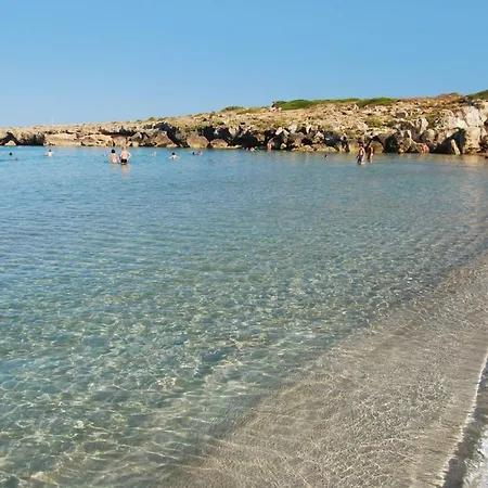 Sapore Di Mare-2
