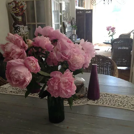 Lilas-Rose-2