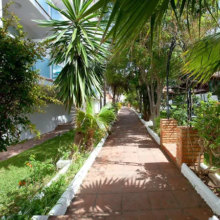 Hotel Palia Las Palomas-2