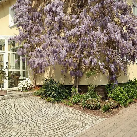 Pension Franzbäcker-2