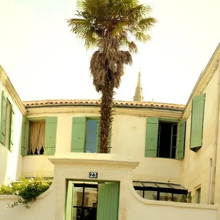 La Maison du Palmier-2