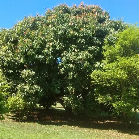 Linda Chácara - Águas de São Pedro - Próximo ao Parque Thermas-2