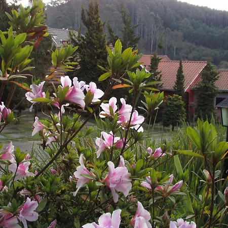 Pousada Flores da Serra-2