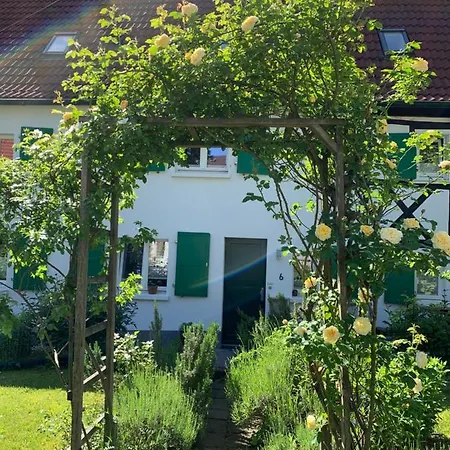 Buxhaus-2
