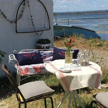 Cabanon de pêcheur en bord de lagune-3