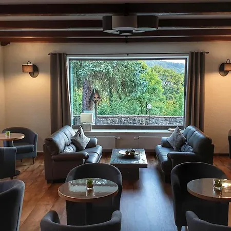 Parkhotel Schwarzenberg - Garni-3