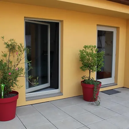 Maison d'Hôtes Le Cep d'Or Alsace-2