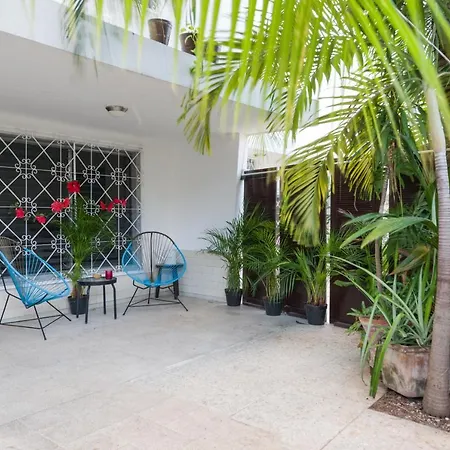 Casa Tropical-2