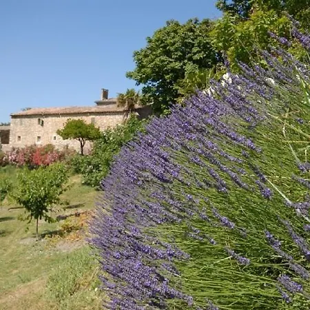 Domaine de Cousignac-2