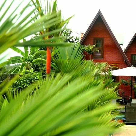 D Family Resort-2