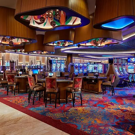 The Guitar Hotel At Seminole Hard Rock Hotel & Casino-3