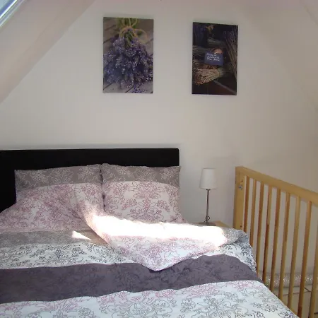 B&B Onder Ons Riet-2