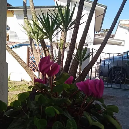 Florinda B&B Viareggio-3
