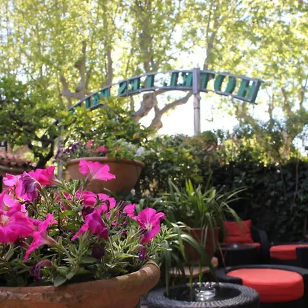 Hotel Les Palmiers-2