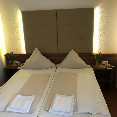 Hotel Riede-2