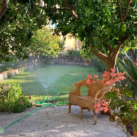 Il giardino dei limoni-3
