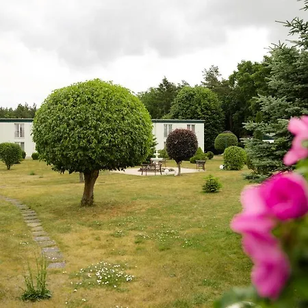 Hotel Waldidyll-2