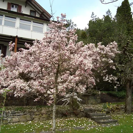 Hotel Beatus-2