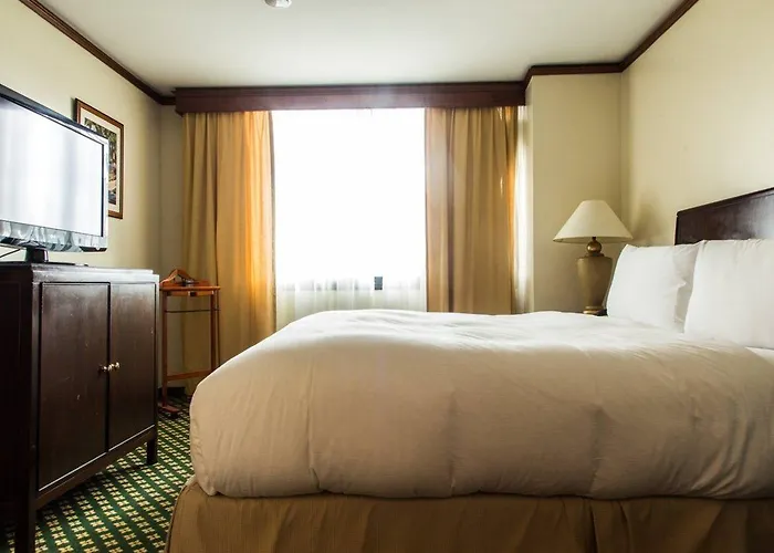 The Hotel Caracas