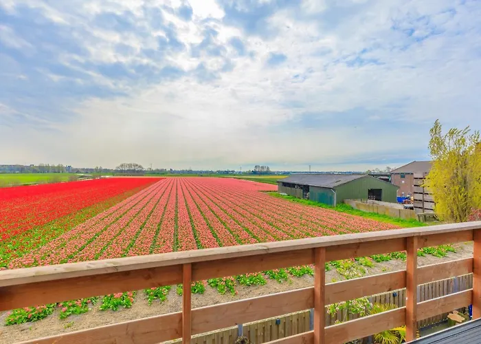 B&B Blossom Lisse