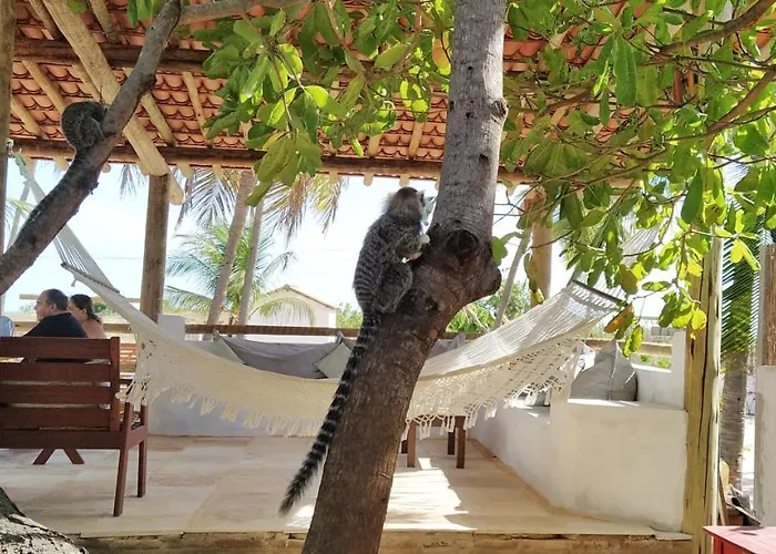 Villa Pitaya Icaraí