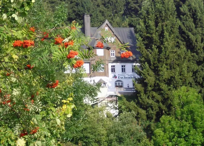 Pension und Gaststätte Naturbaude Eschenhof Oberwiesenthal