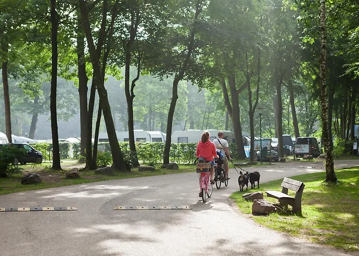 Oostappen Vakantiepark De Berckt BV Hotel Baarlo 