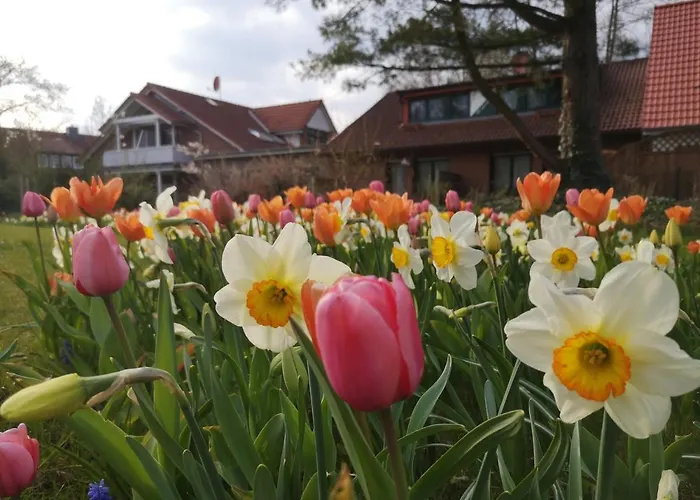 Hotel Dat greune Eck Soltau
