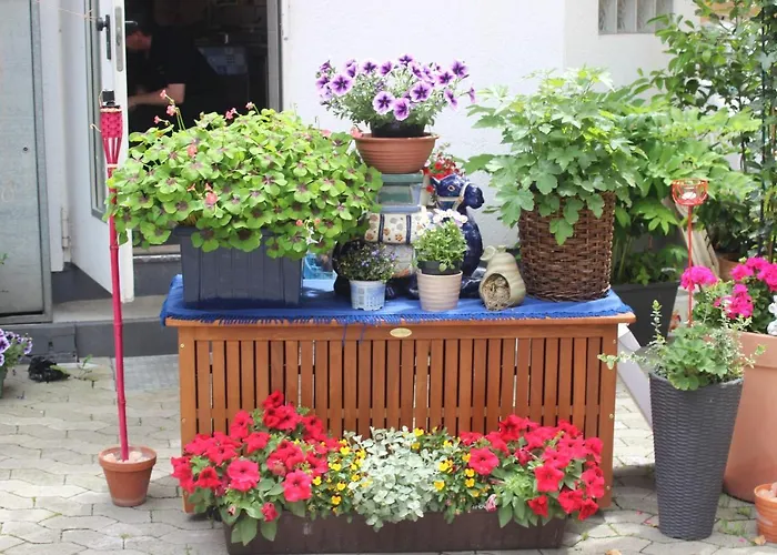 Restaurant / Pension Mainzer Tor Alsfeld