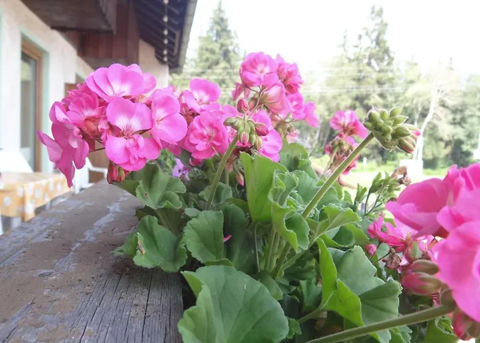 Hotel Beim Haxenwirt Immenstadt im Allgäu
