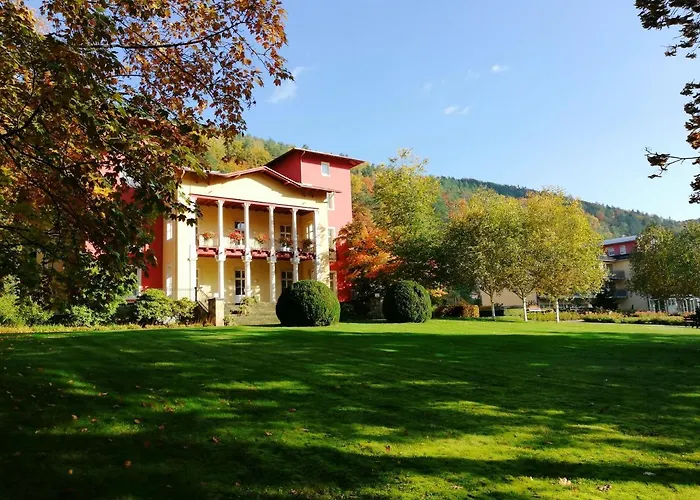 Parkhotel Bad Schandau - direkt an der Elbe