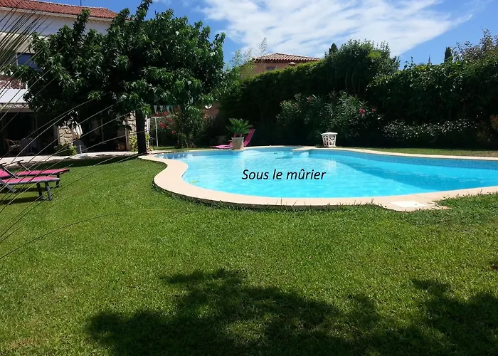 Sous le mûrier
