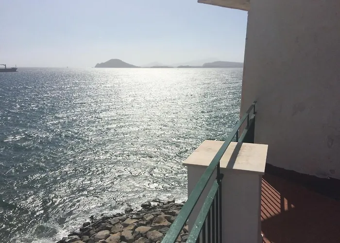 The Reef House
