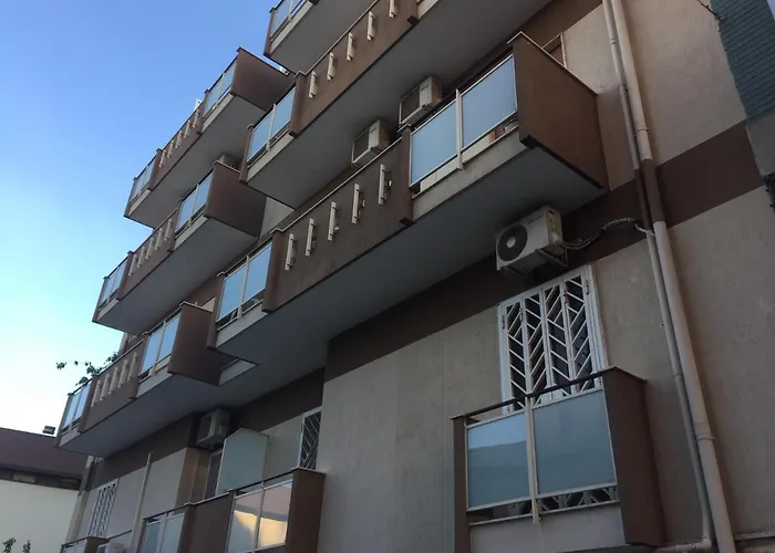 Vuelo