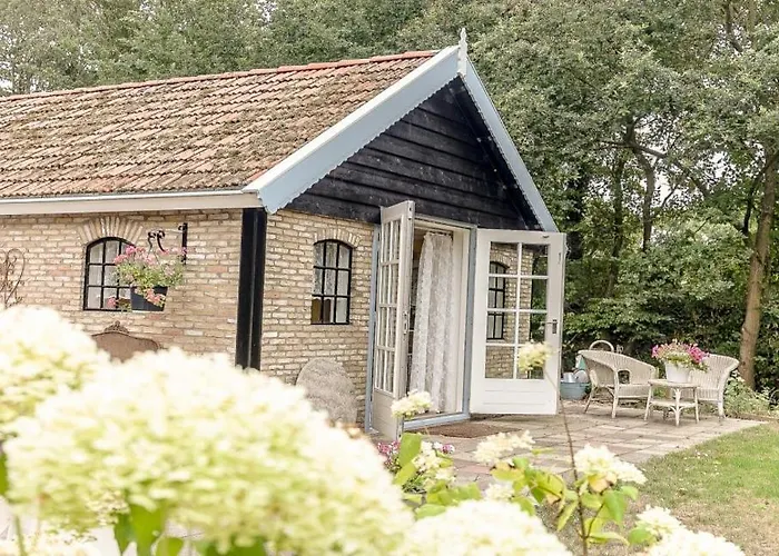 Bed&Breakfast de Appelaar Rijs